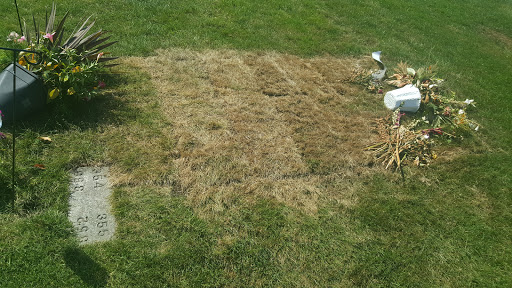 Funeral Home «Mountain View Funeral Home & Memorial Park», reviews and photos, 4100 Steilacoom Blvd SW, Lakewood, WA 98499, USA