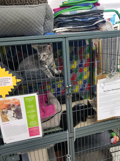 Pet Supply Store «Pet Supplies Plus», reviews and photos, 5708 State St, Saginaw, MI 48603, USA