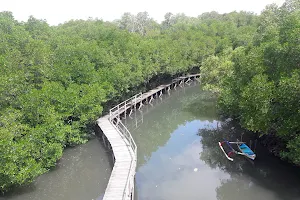 Mangrove Conservation Forest image