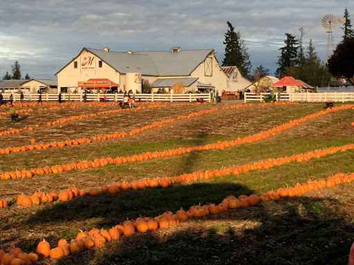 Amusement Center «Maris Farms», reviews and photos, 25001 Sumner Buckley Hwy, Buckley, WA 98321, USA