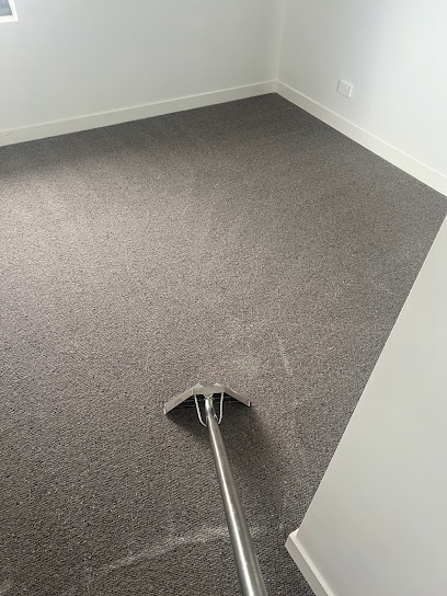 Affordable steam carpet cleaning