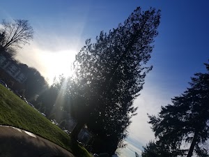 Wooton Park - photo 97