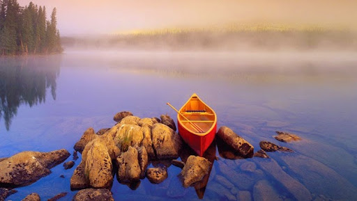 Clothing Store «Orvis», reviews and photos, 10000 Research Blvd B04B, Austin, TX 78759, USA