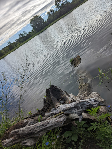 Nature Preserve «Bode Lake», reviews and photos, Bode Rd, Streamwood, IL 60107, USA