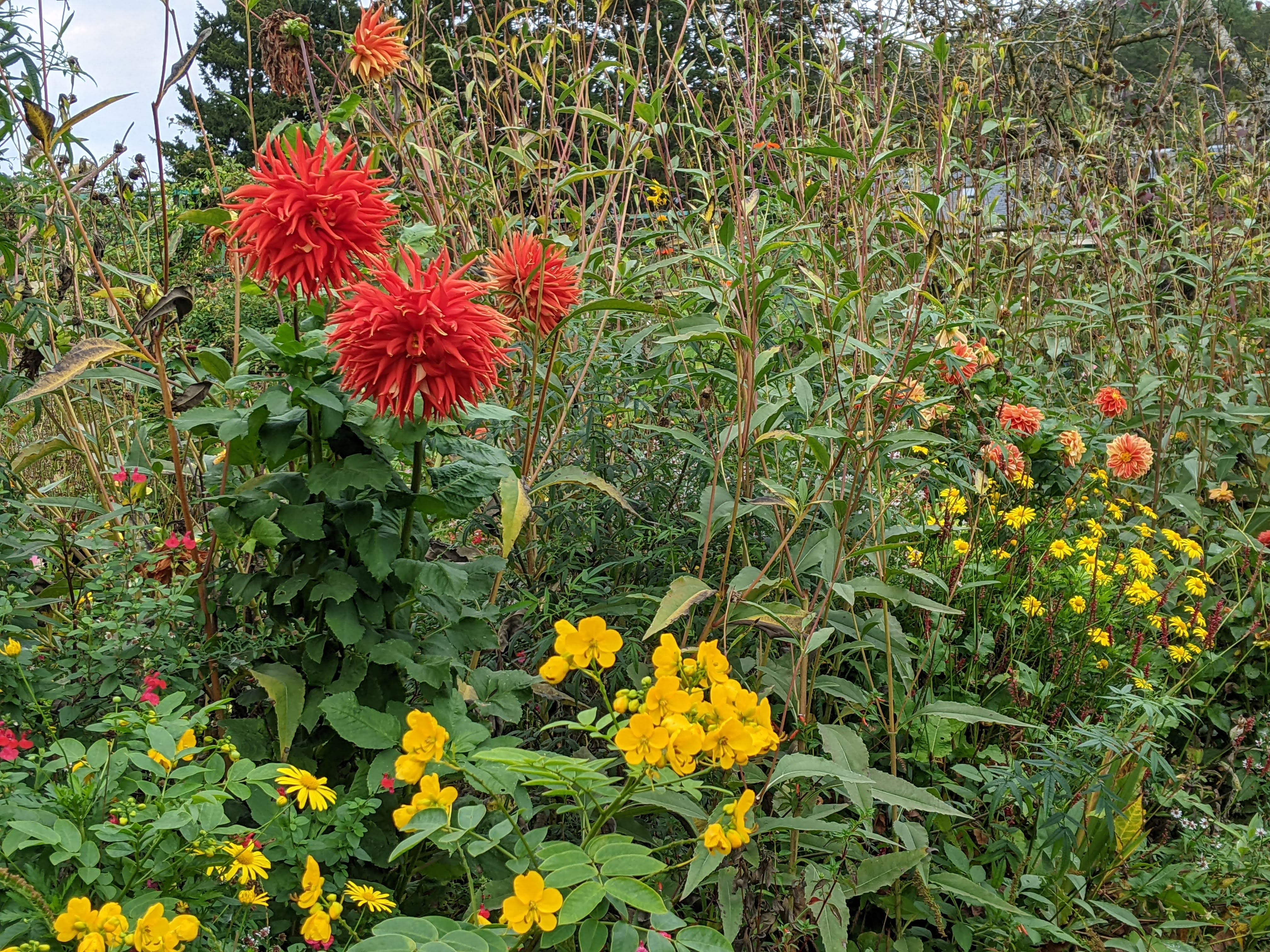 Photo n° 15 de l'avis de konrad.a fait le 08/11/2022 à 15:06