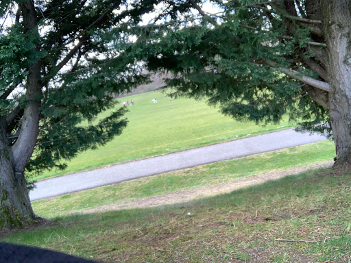 Park «Celebration Park», reviews and photos, 1095 S 324th St, Federal Way, WA 98003, USA