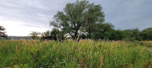 Nature Preserve «Brunner Family Forest Preserve», reviews and photos, 18N681 State Rte 31, Carpentersville, IL 60110, USA