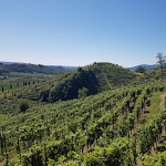 Photo n°5 de l'avis de Mike.a fait le 11/09/2023 à 19:27 sur le  Agriturismo Due Carpini à Santo Stefano