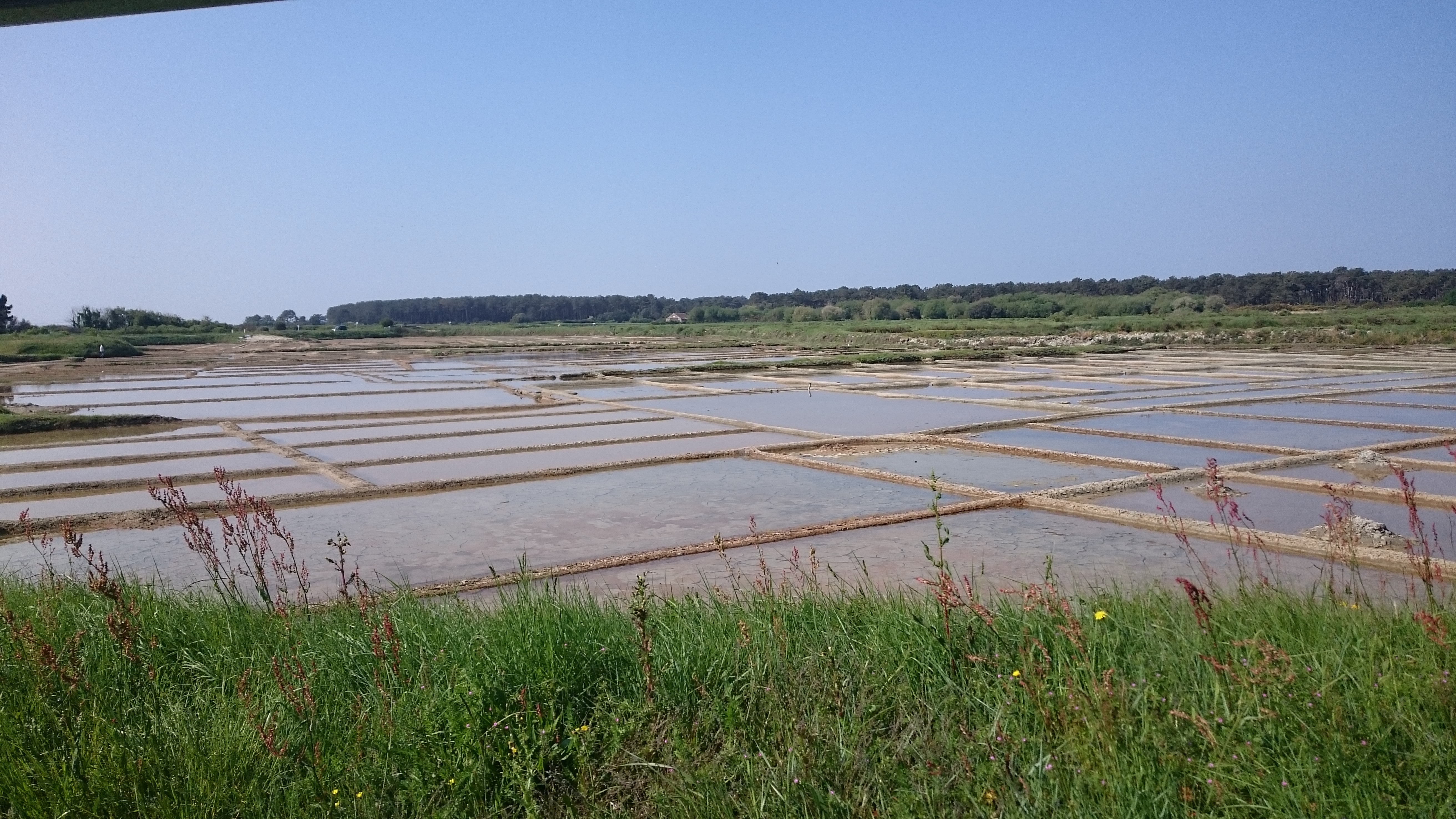 Photo n° 3 de l'avis de Boualem.T fait le 11/06/2018 à 16:26