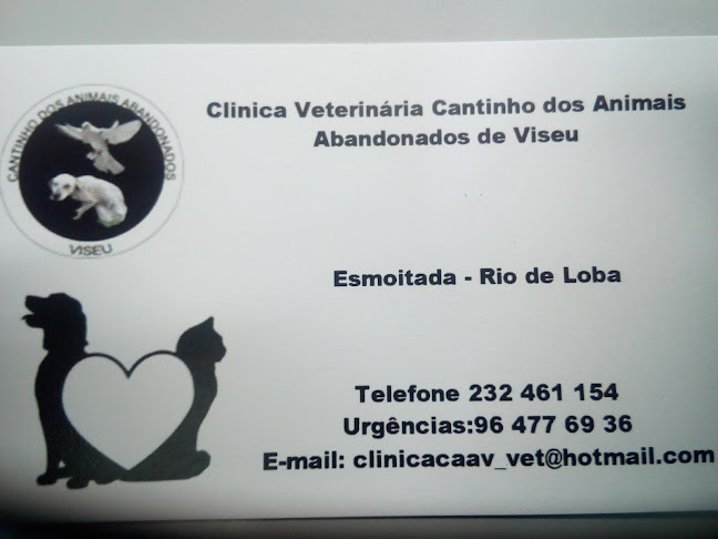 Cantinho Dos Animais Abandonados De Viseu - Veterinário