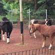 Farm in the Zoo