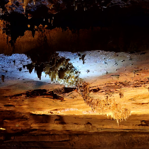 Tourist Attraction «Bluespring Caverns Park», reviews and photos, 1459 Blue Springs Cavern Rd, Bedford, IN 47421, USA