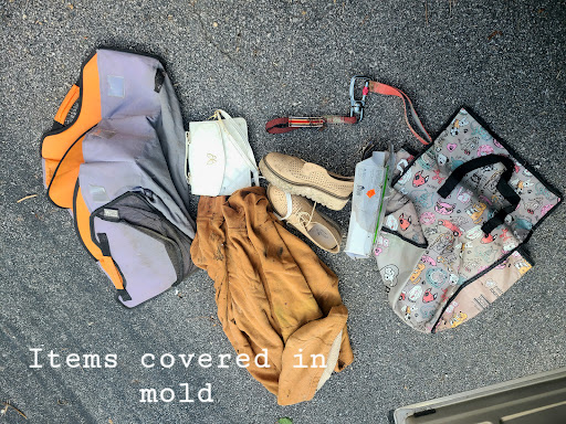 Ford Dealer «Denton Ford», reviews and photos, 1207 Double Hills Rd, Denton, MD 21629, USA