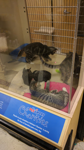 Pet Supply Store «PetSmart», reviews and photos, 3520 S El Camino Real, San Mateo, CA 94403, USA