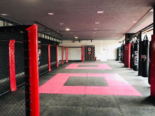 Akademiya Mma