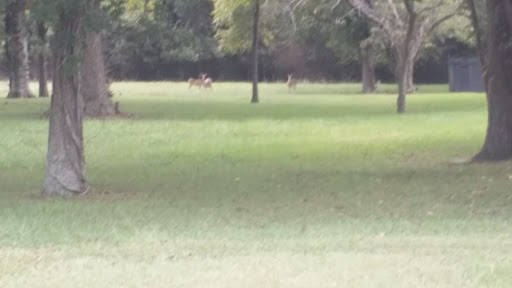 Non-Profit Organization «St. Vincent de Paul Society», reviews and photos, 119 N Frazier St, Conroe, TX 77301, USA