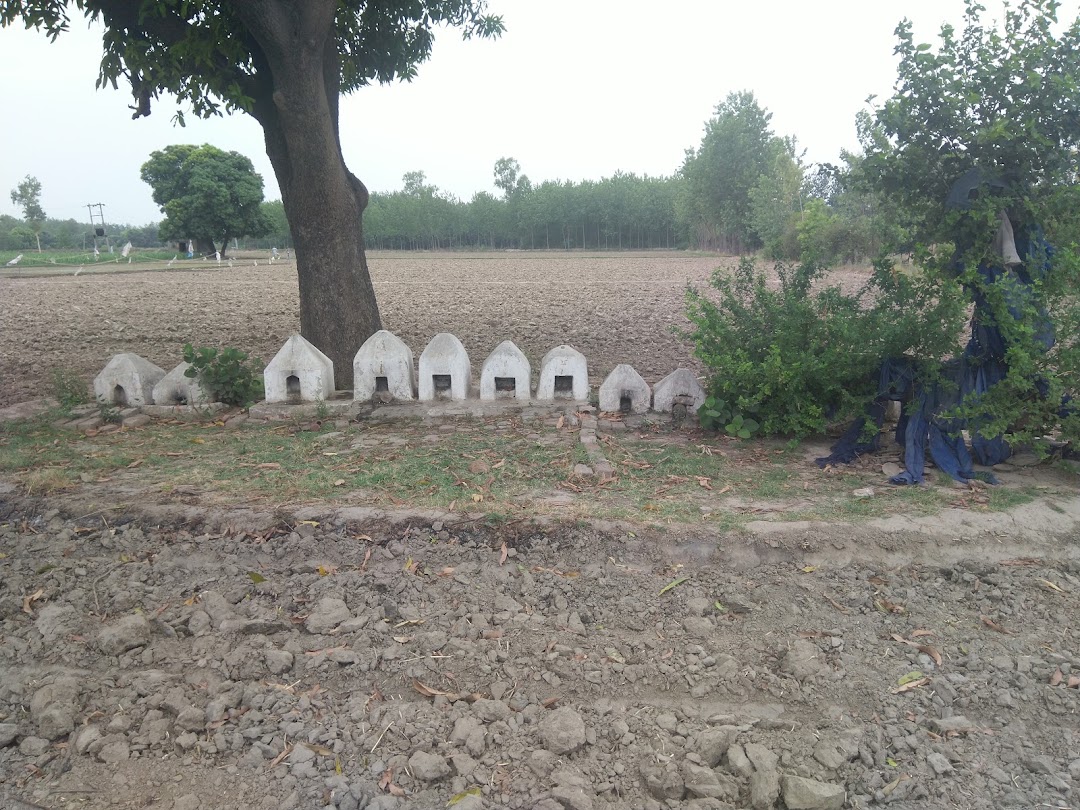 Pitra dev