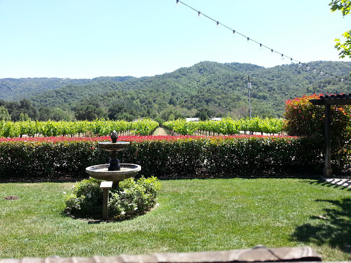 Winery «Solis Winery», reviews and photos, 3920 Hecker Pass Rd, Gilroy, CA 95020, USA