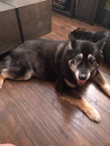 Pet Supply Store «PetSmart», reviews and photos, 12741 Towne Center Dr, Cerritos, CA 90703, USA