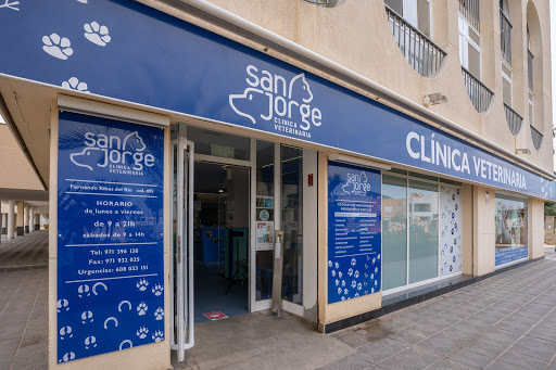 Farmacias veterinarias en Ibiza
