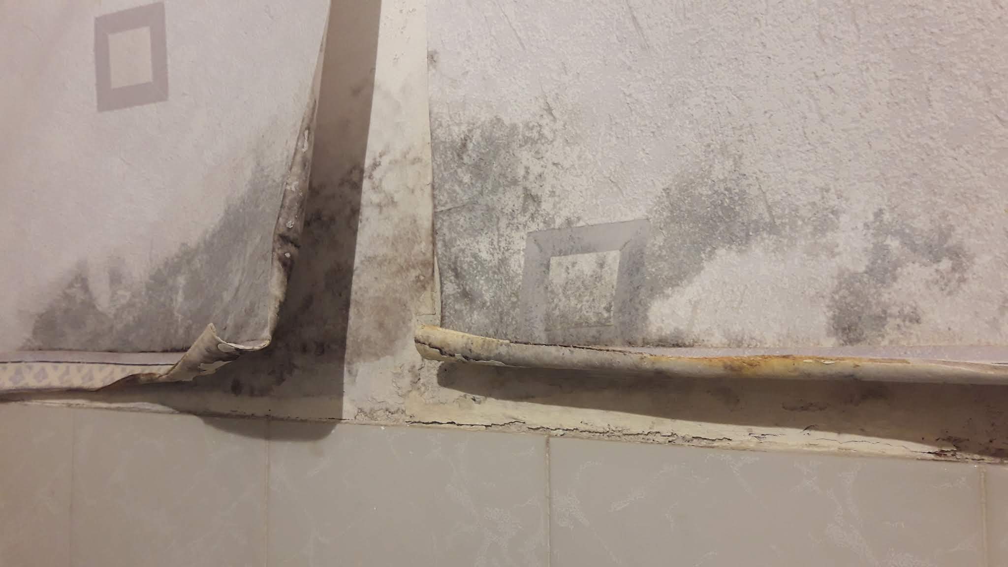 Photo n° 3 de l'avis de camille.e fait le 18/07/2019 à 04:31