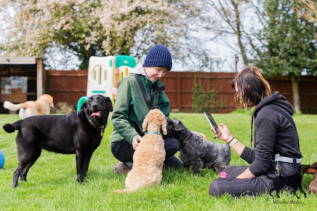 Reviews of Wonder Walks in Nottingham - Dog trainer