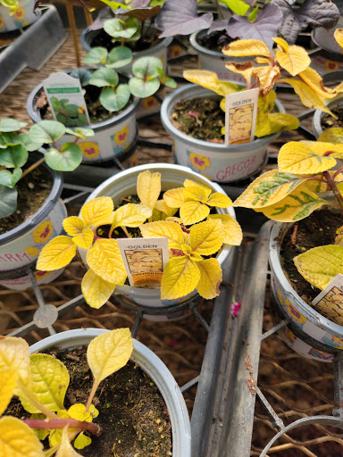 Garden Center «Gregor Farm & Greenhouse Inc», reviews and photos, 2592 Holy Name Dr, Wayzata, MN 55391, USA