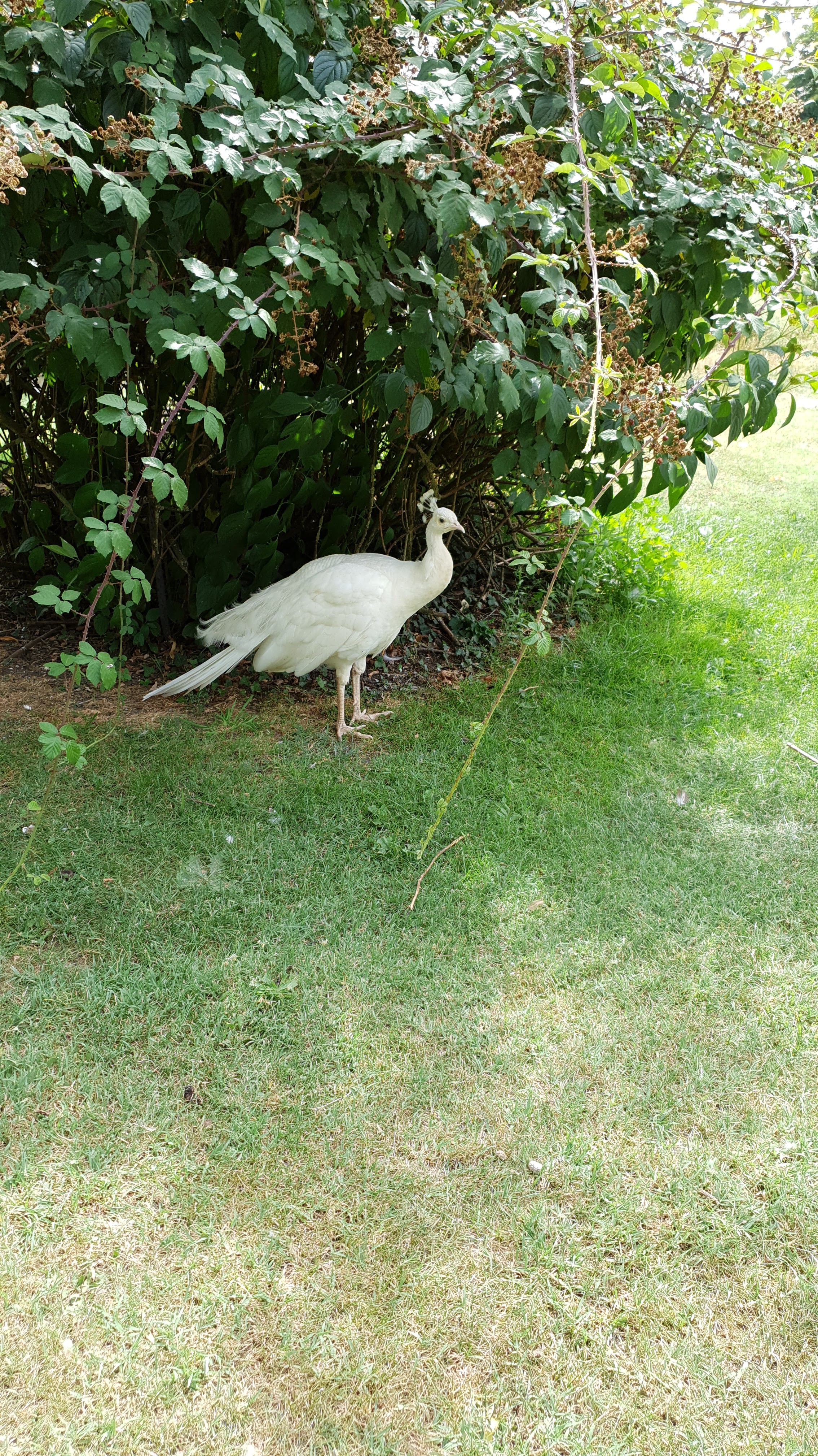 Photo n° 1 de l'avis de Céline.o fait le 23/07/2020 à 18:55