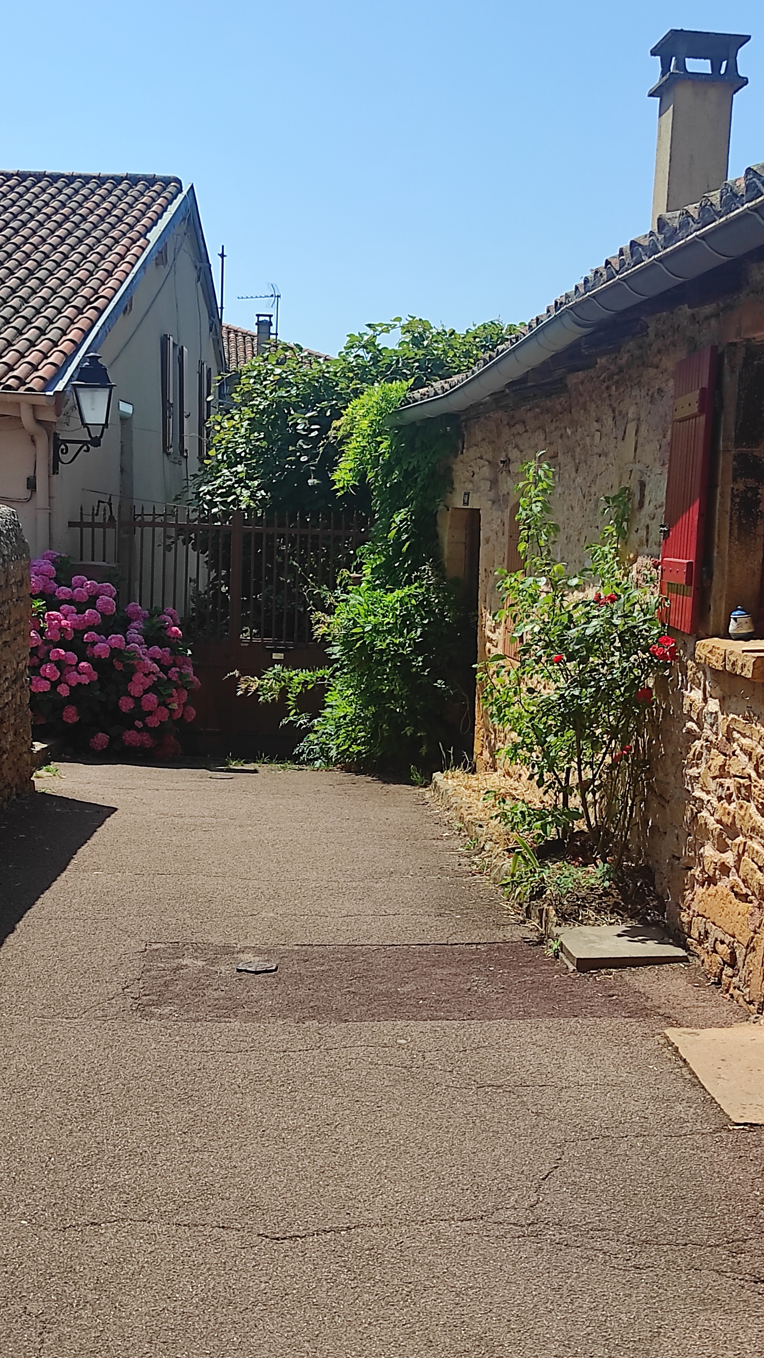 Photo n° 2 de l'avis de Nanou.a fait le 12/07/2023 à 15:48