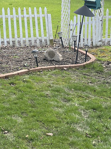 Home Theater Store «RadioActive Electronics», reviews and photos, 15624 W High St, Middlefield, OH 44062, USA