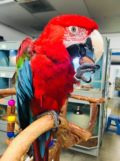 Pet Store «Pet World - Auburndale», reviews and photos, 3637 Havendale Blvd, Auburndale, FL 33823, USA