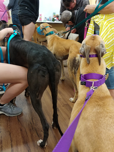 Pet Supply Store «PetPeople», reviews and photos, 3330 Washtenaw Ave, Ann Arbor, MI 48104, USA