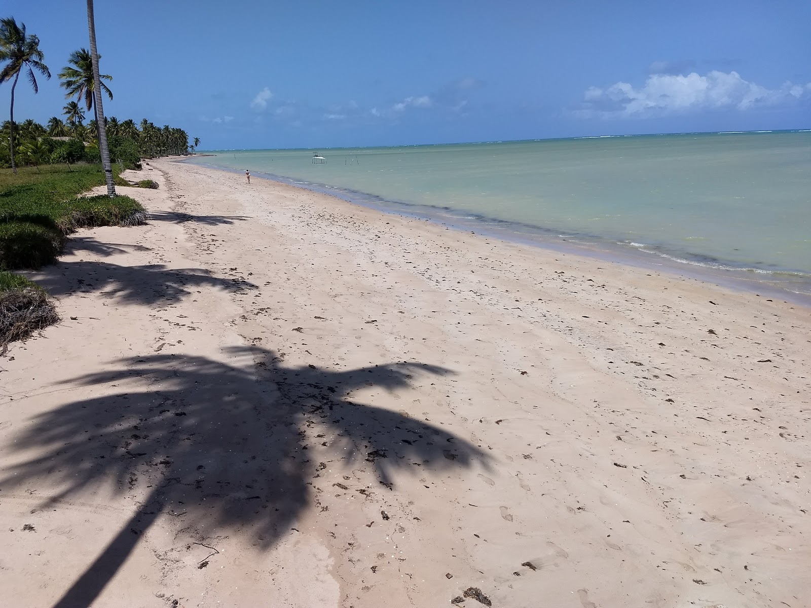 Praia de Tatuamanha'in fotoğrafı - tatil için iyi evcil hayvan dostu nokta
