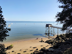 Trebezy beach'in fotoğrafı geniş bir kıyı şeridi ile birlikte