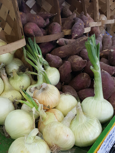 Produce Market «Jams Produce», reviews and photos, 1451 Clearwater Largo Rd N, Largo, FL 33770, USA