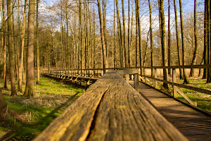 Ozeanbrücke image