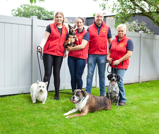 Top Dogs Canine Centre