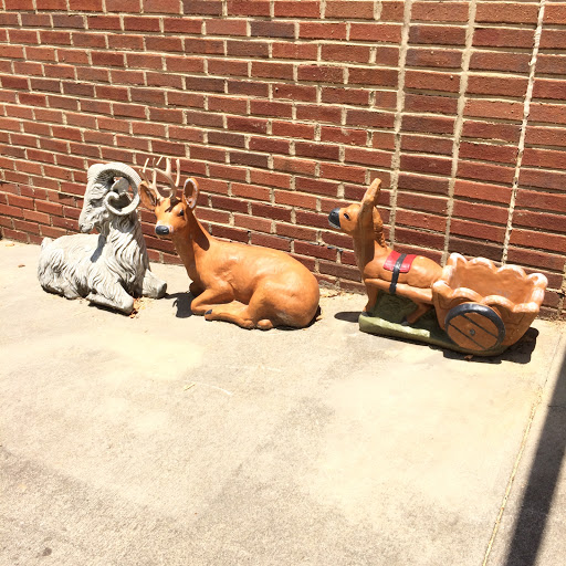 Pet Supply Store «The Stock Market Country Store», reviews and photos, 4479 Dover Pl SE, Conyers, GA 30013, USA