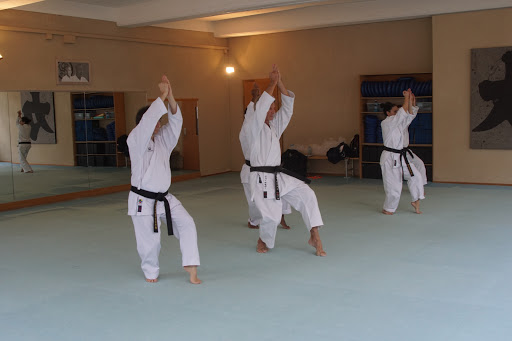 Shukokai Seikenkan Karate Do Zürich