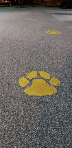 Pet Supply Store «State Line Pet Supply», reviews and photos, 137 Plaistow Rd, Plaistow, NH 03865, USA