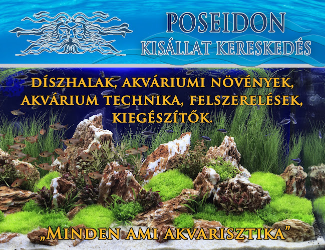 Hozzászólások és értékelések az Poseidon Kisállat Kereskedés-ról