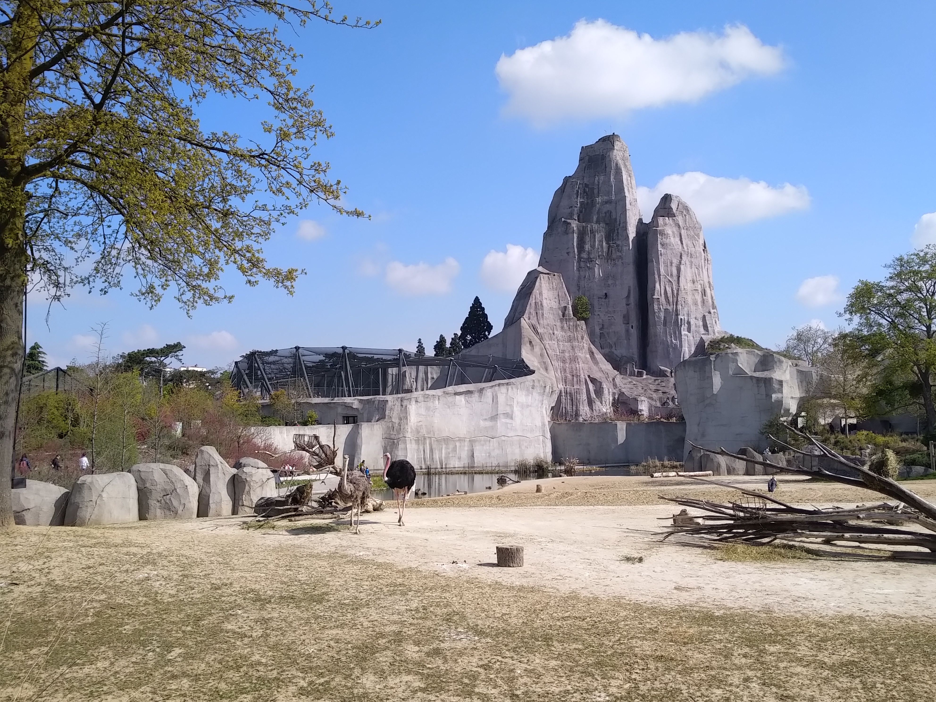 Photo n° 3 de l'avis de Emma. fait le 20/04/2019 à 14:59