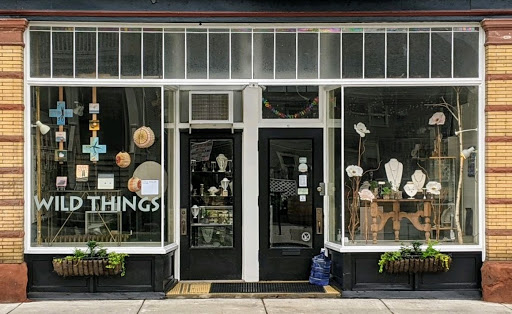 Jeweler «Wild Things», reviews and photos, 224 Lexington Ave, Buffalo, NY 14222, USA