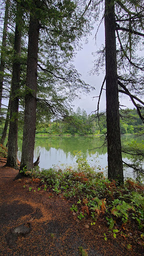 Produce Market «Camas Produce», reviews and photos, 2940 NE Everett St, Camas, WA 98607, USA