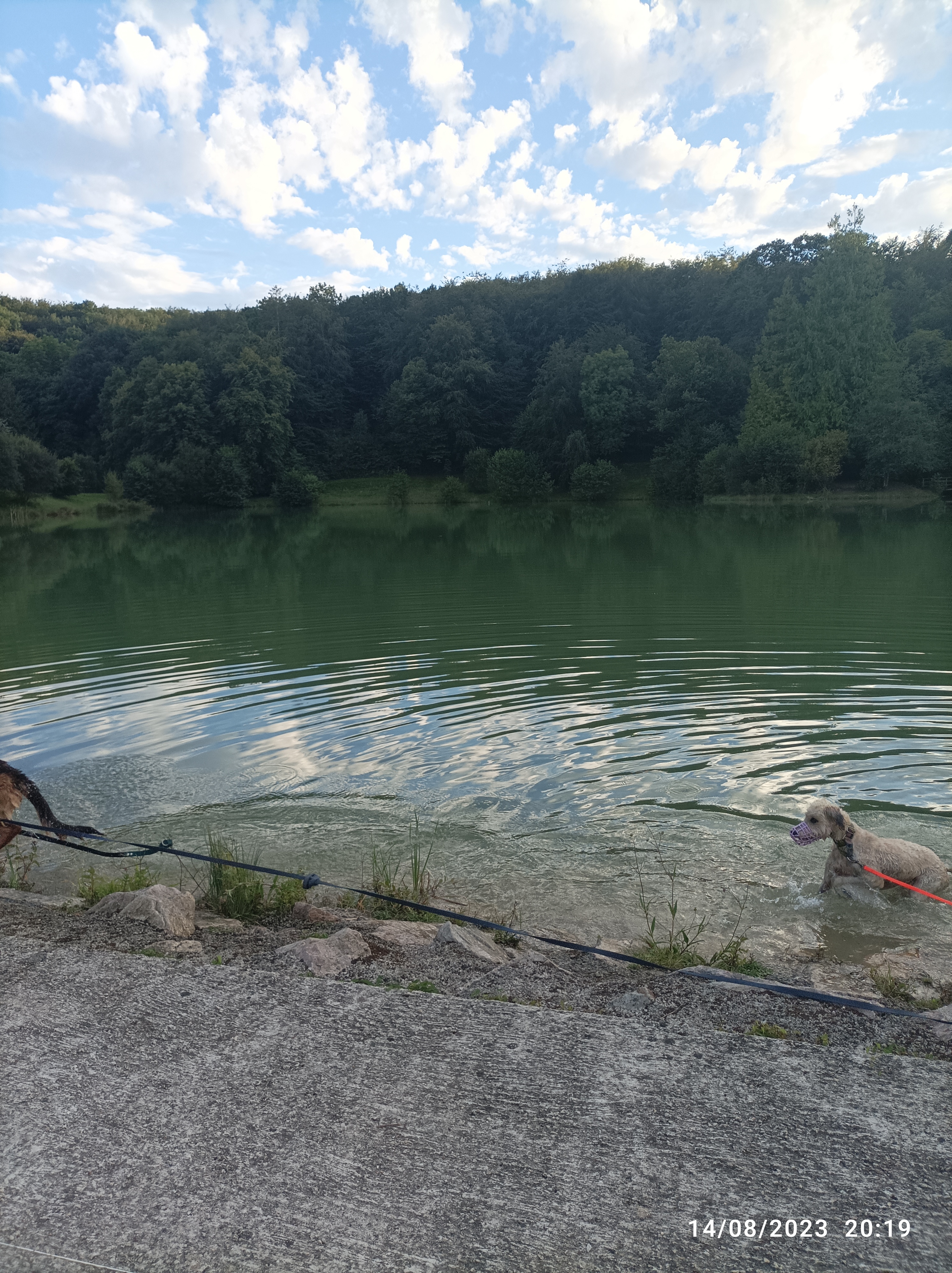 Photo n° 3 de l'avis de Gloria.A fait le 19/08/2023 à 13:09