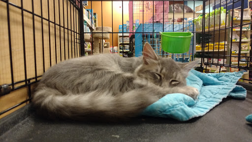 Pet Supply Store «PetSmart», reviews and photos, 11835 Retail Dr, Wake Forest, NC 27587, USA