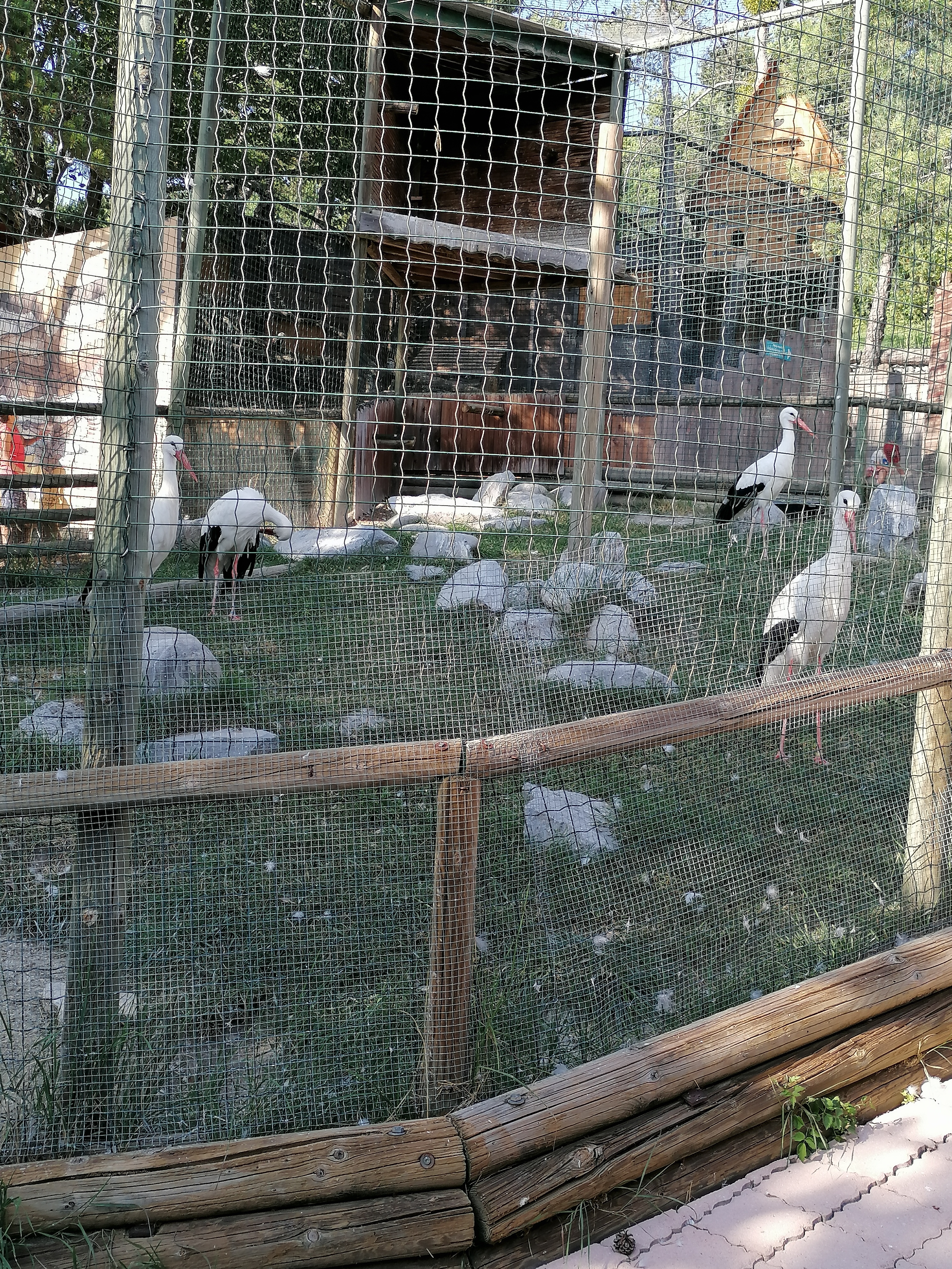 Photo n° 4 de l'avis de Sonia. fait le 22/07/2021 à 19:45