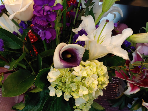 Grocery Store «Wynn’s Market», reviews and photos, 141 9th St N, Naples, FL 34102, USA