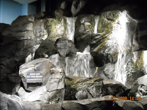 Aquarium «Georgia Aquarium», reviews and photos, 225 Baker St NW, Atlanta, GA 30313, USA