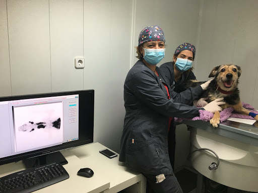 Clínica Veterinaria Leganés Norte en Leganés